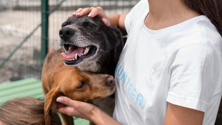 COMMITTED TO ANIMAL WELFARE