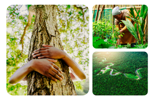 Rooted in Beauty: Why Every Ginger Milk Order Now Plants a Tree