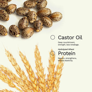 Be Bold Collection | Hair Repair kit for damaged hair caused by coloring, chemical processes - Ginger Milk Natural Care