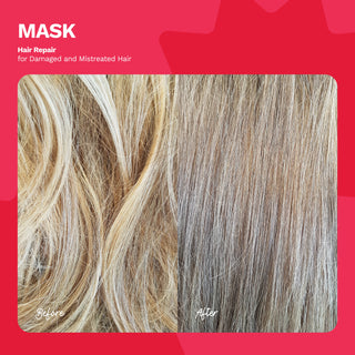 x2 Hair Repair Mask for Damaged and Mistreated Hair | BE BOLD - Ginger Milk Natural Care