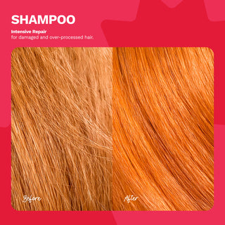 Intensive Repair Shampoo for Damaged Hair | BE BOLD - Ginger Milk Natural Care