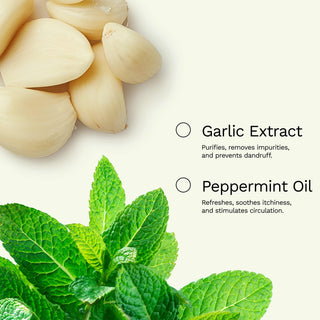 Shampoo Dandruff Control - Hydrates and Nourishes | BE FREE | 8 OZ / 240 ML - Ginger Milk Natural Care