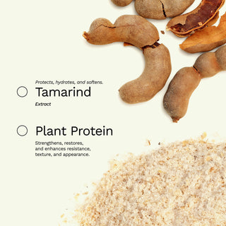 x2 Nourishing & Moisturizing Hair Mask with Proteins | BE GENEROUS - Ginger Milk Natural Care