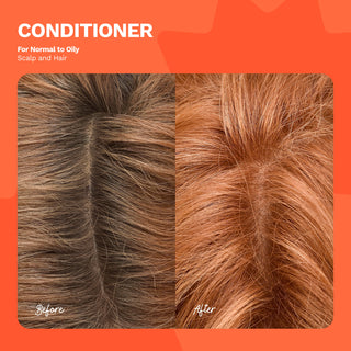 Conditioner | For Normal to Oily Scalp and Hair | BE HONEST - Ginger Milk Natural Care