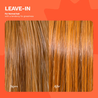 Leave-In Conditioner | For normal hair with a tendency for greasiness | BE HONEST - Ginger Milk Natural Care