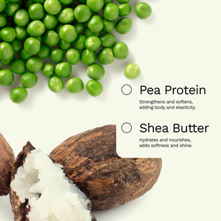 Leave-In Conditioner | For normal hair with a tendency for greasiness | BE HONEST - Ginger Milk Natural Care