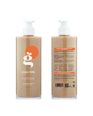 Conditioner | For Normal to Oily Scalp and Hair | BE HONEST - Ginger Milk Natural Care