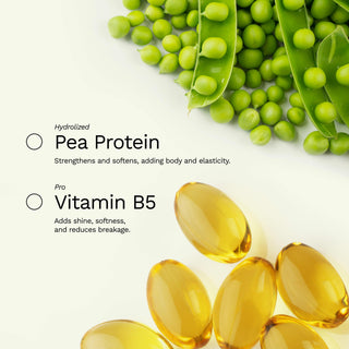 Hair Heat and Sun Protector | Hydrates and Prevents Frizz | BE WISE | 6 OZ / 180 ML - Ginger Milk Natural Care