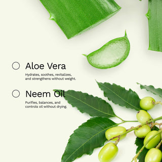 Hydrating Shampoo | For Curly, Wavy, and Coily Hair | BE YOURSELF | 16 OZ / 473 ML - Ginger Milk Natural Care