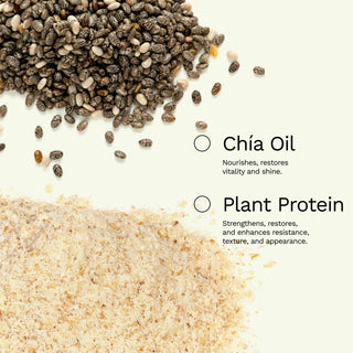 Complete Hair Repair and Nutrition Routine | GINGER MILK MIX Kit - Ginger Milk Natural Care